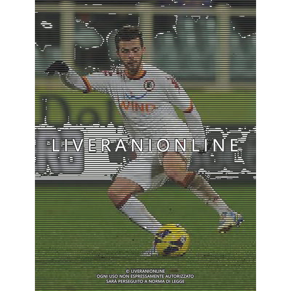Coppa Italia TIM Cup 2012/2013 Quarti di Finale Firenze - 16.01.2013 Fiorentina-Roma Nella Foto:Pjanic Miralem /Ph.Vitez-Ag. Aldo Liverani