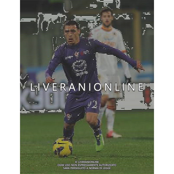 Coppa Italia TIM Cup 2012/2013 Quarti di Finale Firenze - 16.01.2013 Fiorentina-Roma Nella Foto:Romulo Souza Orestes Caldeira /Ph.Vitez-Ag. Aldo Liverani