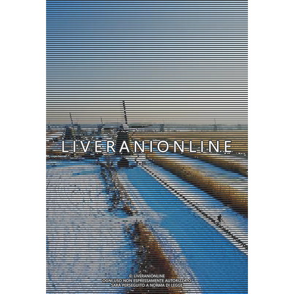 (130117) -- KINDERDIJK, Jan. 17, 2013 () -- Windmills are seen after snowfall in Kinderdijk, west of the Netherlands, Jan. 16, 2013. The small town of Kinderdijk is known for its 19 well-preserved windmills which were built around 1740. Every year about 500,000 tourists visit Kinderdijk, a UNESCO World Heritage site since 1997. (/Robin Utrecht) (ybg) ©photoshot/AGENZIA ALDO LIVERANI SAS - ITALY ONLY - Neve sui Mulini a vento dopo la nevicata nella citta\' di Kinderdijk, a ovest dei Paesi Bassi, Olanda 16 Gennaio 2013. I 19 mulini a vento costruiti intorno al 1740 ancora ben conservati sono riconosciuti patrimonio mondiale dell\'UNESCO dal 1997. 