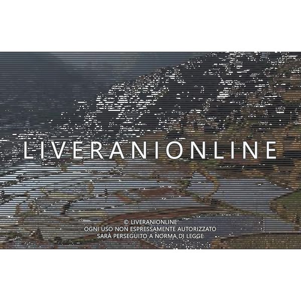 (130204) -- KAILI, Feb. 4, 2013 () -- Photo taken on Feb. 3, 2013 shows the scenery of terraced fields in Kaili City of Qiandongnan Miao and Dong Autonomous Prefecture, southwest China\'s Guizhou Province. (/Lai Xinlin) (ry) ©photoshot/AGENZIA ALDO LIVERANI SAS - ITALY ONLY - Terrazzamento dei campi - Il paesaggio di campi terrazzati nella citta\' di Kaili Qiandongnan Miao e Dong prefettura autonoma, a sud ovest della Cina provincia di Guizhou.