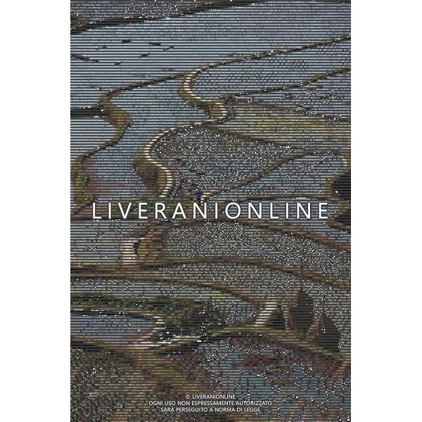 (130204) -- KAILI, Feb. 4, 2013 () -- Photo taken on Feb. 3, 2013 shows the scenery of terraced fields in Kaili City of Qiandongnan Miao and Dong Autonomous Prefecture, southwest China\'s Guizhou Province. (/Lai Xinlin) (ry) ©photoshot/AGENZIA ALDO LIVERANI SAS - ITALY ONLY - Terrazzamento dei campi - Il paesaggio di campi terrazzati nella citta\' di Kaili Qiandongnan Miao e Dong prefettura autonoma, a sud ovest della Cina provincia di Guizhou.