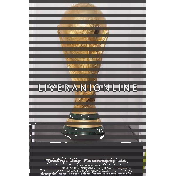 (130206) -- SAO PAULO, Feb. 6, 2013 () -- The FIFA World Cup trophy is displayed during a presentation at the site of construction of the Corinthians Arena, to the east of the city of Sao Paulo, Brazil, on Feb. 5, 2013. The new Corinthians Arena will host the opening game of the FIFA 2014 World Cup finals. (/Daniel Vorley/Frame/Agencia Estado) (ae) (jp) (sss) ***BRAZIL OUT*** ©photoshot/AGENZIA ALDO LIVERANI SAS - ITALY ONLY - Il trofeo della Coppa del Mondo FIFA durante una presentazione nel sito di costruzione della Arena Corinthians, ad est della citta\' di San Paolo, in Brasile, il 5 febbraio 2013.