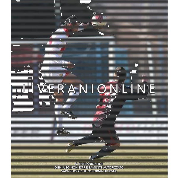 Martinarini , Lumezzane-Cremonese calcio lega pro 1, Lumezzane 10 febbraio 2013.Ph Fotolive Filippo Venezia