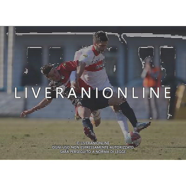 Gallo , Lumezzane-Cremonese calcio lega pro 1, Lumezzane 10 febbraio 2013.Ph Fotolive Filippo Venezia /AGENZIA ALDO LIVERANI SAS