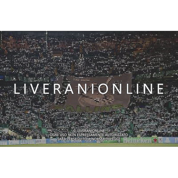 12/02/13 UEFA CHAMPIONS LEAGUE CELTIC v JUVENTUS CELTIC PARK - GLASGOW The Green Brigade unveil a banner before the match ©/AGENZIA ALDO LIVERANI SAS - ITALY ONLY - EDITORIAL USE ONLY