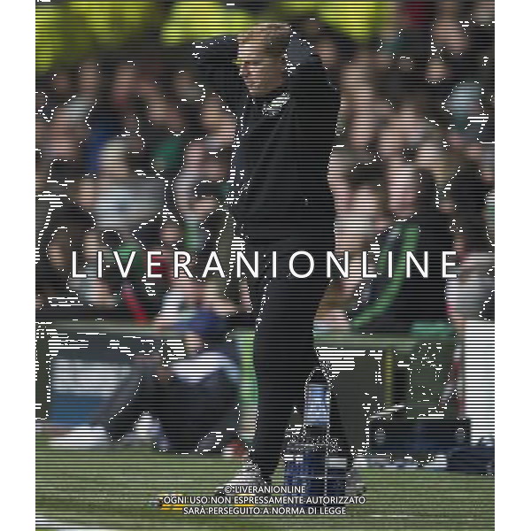 12/02/13 UEFA CHAMPIONS LEAGUE CELTIC v JUVENTUS CELTIC PARK - GLASGOW Dejection for Celtic manager Neil Lennon ©/AGENZIA ALDO LIVERANI SAS - ITALY ONLY - EDITORIAL USE ONLY