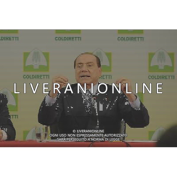 Intervento di Silvio Berlusconi alla Coldiretti - Roma 15 febbraio 2013 ©/AGENZIA ALDO LIVERANI SAS