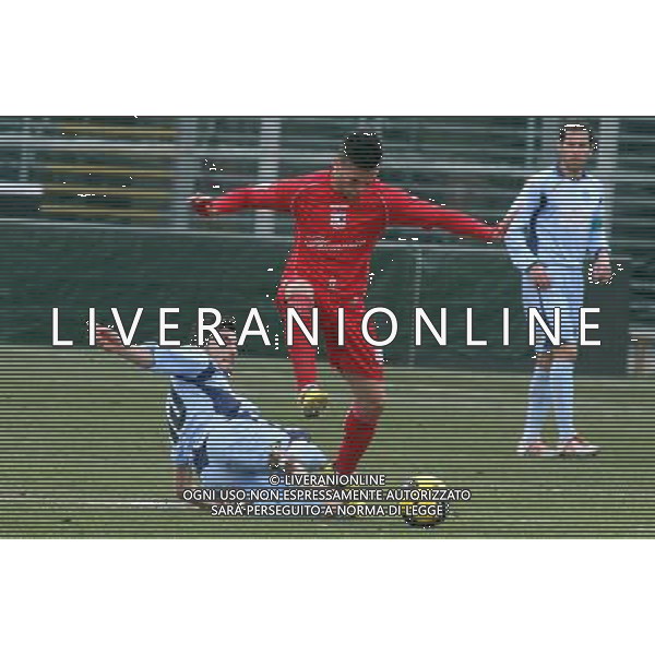 BERGAMO 17 FEBBRAIO 2013,nella foto MATTIA VALOTI ,ph.francesco moro/Aldo Liverani ALBINOLEFFE - CARPI PRIMA DIVISIONE 17 FEBBRAIO 2013 ©/AGENZIA ALDO LIVERANI SAS