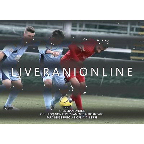 BERGAMO 17 FEBBRAIO 2013,nella foto ROBERTO PREVITALI IN CONTRASTO CON ANDREA DELLA ROCCA ,ph.francesco moro/Aldo Liverani ALBINOLEFFE - CARPI PRIMA DIVISIONE 17 FEBBRAIO 2013 ©/AGENZIA ALDO LIVERANI SAS