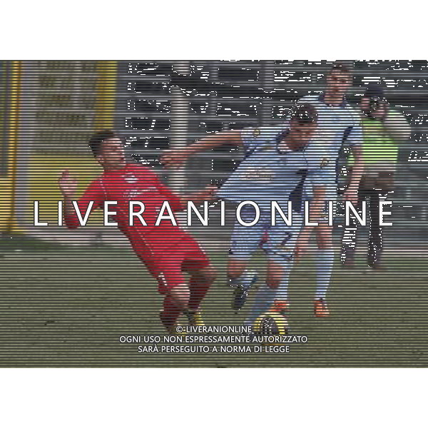 BERGAMO 17 FEBBRAIO 2013,nella foto MICHAEL GIRASOLE ,ph.francesco moro/Aldo Liverani ALBINOLEFFE - CARPI PRIMA DIVISIONE 17 FEBBRAIO 2013 ©/AGENZIA ALDO LIVERANI SAS