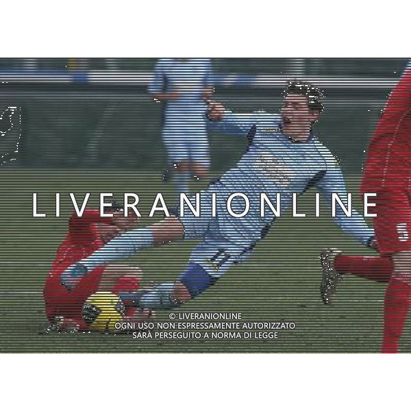 BERGAMO 17 FEBBRAIO 2013,nella foto ANDREA BELOTTI ,ph.francesco moro/Aldo Liverani ALBINOLEFFE - CARPI PRIMA DIVISIONE 17 FEBBRAIO 2013 ©/AGENZIA ALDO LIVERANI SAS