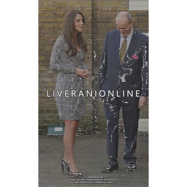 Duchess Of Cambridge arrives at Hope House for her visit, Clapham, London 19th February 2013 picture by Marc Larkin/Photoshot ©photoshot/AGENZIA ALDO LIVERANI SAS - ITALY ONLY - REALI INGLESI: Kate Middleton (incinta - gravidanza)Duchessa di Cambridge in visita alla casa della speranza a Clapham, Londra Inghilterra 19 febbraio 2013