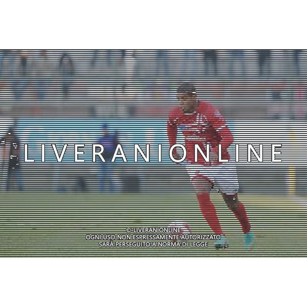 PERUGIA NOCERINA LEGA PRO 17/02/2013 NELLA FOTO AYRES FABIO AG ALDO LIVERANI S A S