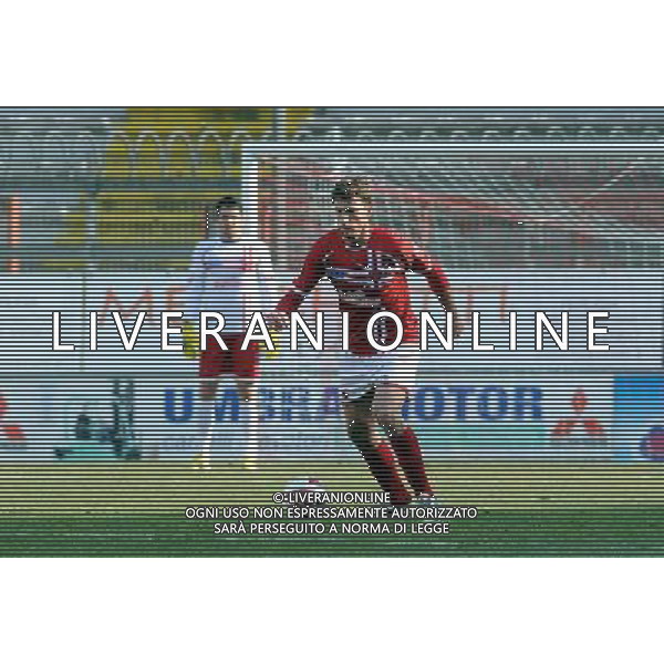 PERUGIA NOCERINA LEGA PRO 17/02/2013 NELLA FOTO MASSONI LEONARDO AG ALDO LIVERANI S A S