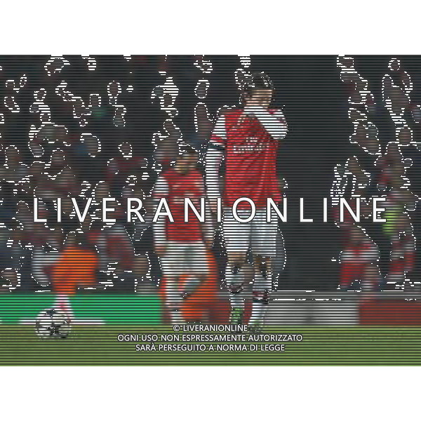 Arsenal\'s Tomas Rosicky shows his dejection as Bayern Munich take a 3-1 lead - Credit - CameraSport - KARYN HADDON - Football - UEFA Champions League Round of 16 First Leg - Arsenal v Bayern Munich - Tuesday 19th February 2013 - Emirates Stadium - London © CameraSport - 43 Linden Ave. Countesthorpe. Leicester. England. LE8 5PG - Tel: +44 (0) 116 277 4147 - admin@camerasport.com - www.camerasport.com AG ALDO LIVERANI S A S ONLY ITALY