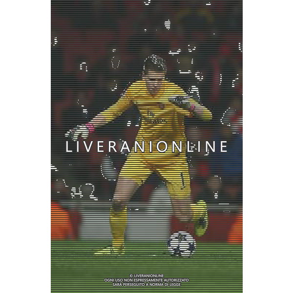 Arsenal\'s Wojciech Szczesny Football - UEFA Champions League - round of 16 - First Leg - Arsenal London v Bayern Munich - 19th February 2013 - Emirates Stadium - London - UK Foto: Michal Zemanek / dla Newspix.pl --- Newspix.pl AG ALDO LIVERANI S A S ONLY ITALY *** Local Caption *** www.newspix.pl mail us: info@newspix.pl call us: 0048 022 23 22 222 --- Polish Picture Agency by Ringier Axel Springer Poland