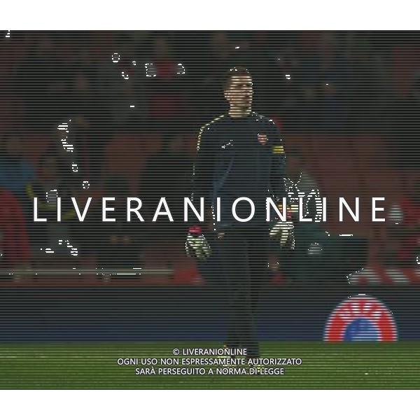 Arsenal\'s Wojciech Szczesny Football - UEFA Champions League - round of 16 - First Leg - Arsenal London v Bayern Munich - 19th February 2013 - Emirates Stadium - London - UK Foto: Michal Zemanek / dla Newspix.pl LIGA MISTRZOW SEZON 2012/2013 PILKA NOZNA ARSENAL LONDYN vs BAYERN MONACHIUM --- Newspix.pl AG ALDO LIVERANI S A S ONLY ITALY *** Local Caption *** www.newspix.pl mail us: info@newspix.pl call us: 0048 022 23 22 222 --- Polish Picture Agency by Ringier Axel Springer Poland