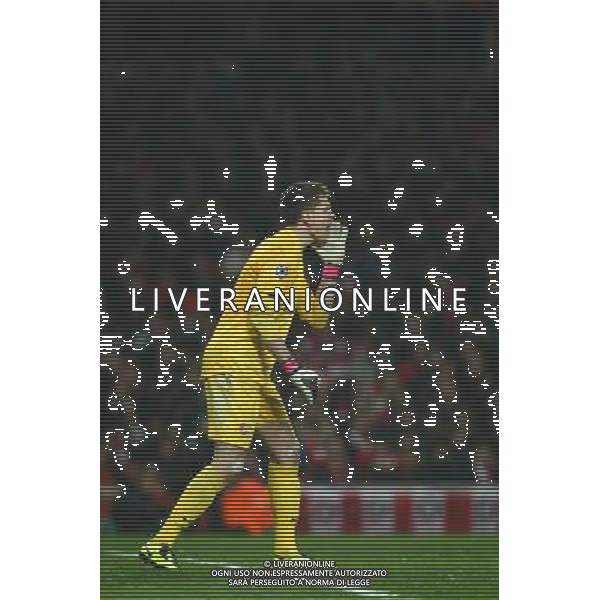 Arsenal\'s Wojciech Szczesny Football - UEFA Champions League - round of 16 - First Leg - Arsenal London v Bayern Munich - 19th February 2013 - Emirates Stadium - London - UK Foto: Michal Zemanek / dla Newspix.pl LIGA MISTRZOW SEZON 2012/2013 PILKA NOZNA ARSENAL LONDYN vs BAYERN MONACHIUM --- Newspix.pl AG ALDO LIVERANI S A S ONLY ITALY *** Local Caption *** www.newspix.pl mail us: info@newspix.pl call us: 0048 022 23 22 222 --- Polish Picture Agency by Ringier Axel Springer Poland
