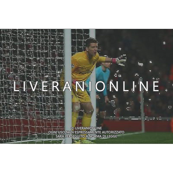 Arsenal\'s Wojciech Szczesny Football - UEFA Champions League - round of 16 - First Leg - Arsenal London v Bayern Munich - 19th February 2013 - Emirates Stadium - London - UK Foto: Michal Zemanek / dla Newspix.pl LIGA MISTRZOW SEZON 2012/2013 PILKA NOZNA ARSENAL LONDYN vs BAYERN MONACHIUM --- Newspix.pl AG ALDO LIVERANI S A S ONLY ITALY *** Local Caption *** www.newspix.pl mail us: info@newspix.pl call us: 0048 022 23 22 222 --- Polish Picture Agency by Ringier Axel Springer Poland