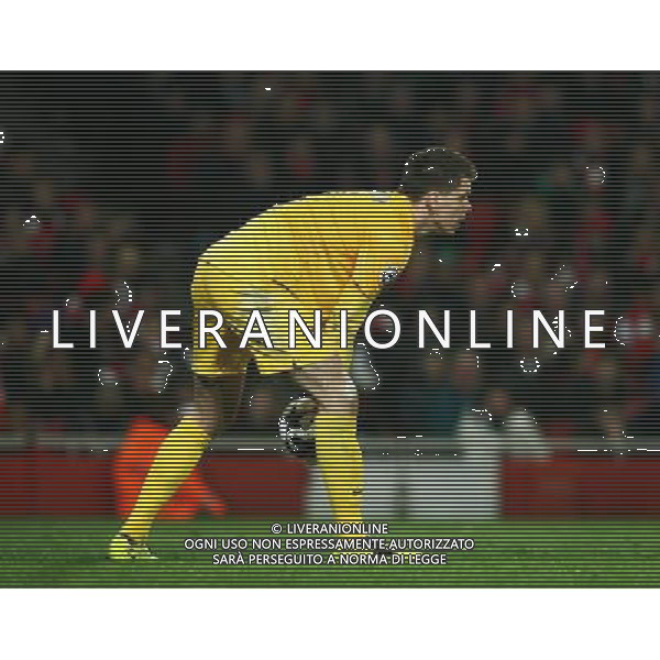 Arsenal\'s Wojciech Szczesny Football - UEFA Champions League - round of 16 - First Leg - Arsenal London v Bayern Munich - 19th February 2013 - Emirates Stadium - London - UK Foto: Michal Zemanek / dla Newspix.pl LIGA MISTRZOW SEZON 2012/2013 PILKA NOZNA ARSENAL LONDYN vs BAYERN MONACHIUM --- Newspix.pl AG ALDO LIVERANI S A S ONLY ITALY *** Local Caption *** www.newspix.pl mail us: info@newspix.pl call us: 0048 022 23 22 222 --- Polish Picture Agency by Ringier Axel Springer Poland
