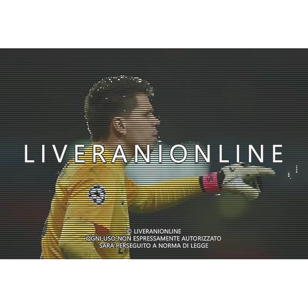 Arsenal\'s Wojciech Szczesny Football - UEFA Champions League - round of 16 - First Leg - Arsenal London v Bayern Munich - 19th February 2013 - Emirates Stadium - London - UK Foto: Michal Zemanek / dla Newspix.pl LIGA MISTRZOW SEZON 2012/2013 PILKA NOZNA ARSENAL LONDYN vs BAYERN MONACHIUM --- Newspix.pl AG ALDO LIVERANI S A S ONLY ITALY *** Local Caption *** www.newspix.pl mail us: info@newspix.pl call us: 0048 022 23 22 222 --- Polish Picture Agency by Ringier Axel Springer Poland
