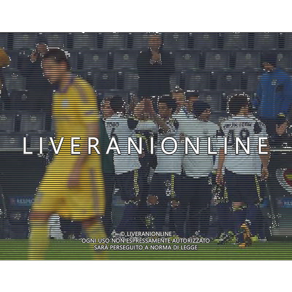 FENERBACHE-BATE BORISOV EUROPA LEAGUE 21/02/2013 NELLA FOTO PARTITA AG ALDO LIVERANI