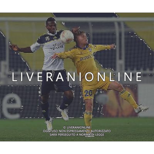 FENERBACHE-BATE BORISOV EUROPA LEAGUE 21/02/2013 NELLA FOTO PARTITA AG ALDO LIVERANI