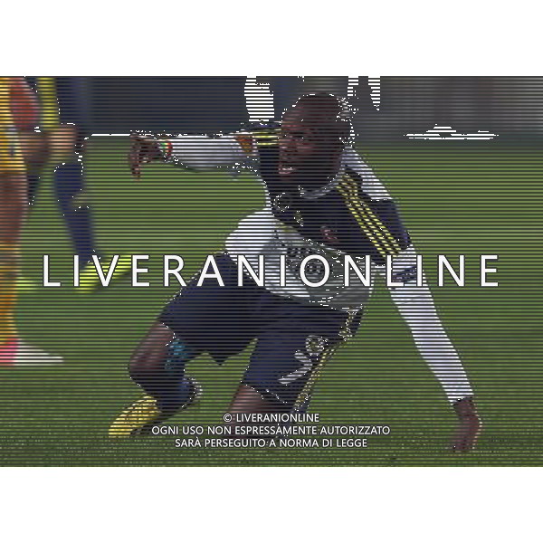 FENERBACHE-BATE BORISOV EUROPA LEAGUE 21/02/2013 NELLA FOTO PARTITA AG ALDO LIVERANI