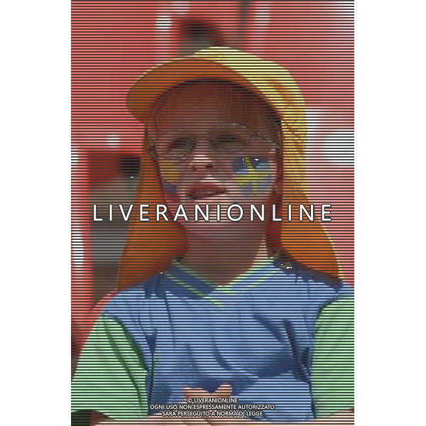 Supporters (Sweden); June 28; 2011 - Football : Fifa Women\'s World Cup Germany 2011;Group C Match 6; match between Colombia 0-1 Sweden at BayArena Stadion ;Leverkusen, Germany.;;( photo by aicfoto)(ITALY) [0855] /AGENZIA ALDO LIVERANI SAS