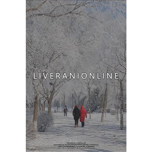 (130225) -- JILIN, Feb. 25, 2013 () -- Tourists walk under rime-covered trees in Jilin City, northeast China\'s Jilin Province, Feb. 25, 2013. (/Wang Mingming) (yxb) ©photoshot/AGENZIA ALDO LIVERANI SAS - ITALY ONLY - Alberi coperti di brina in un parco coperto di neve nella citta\' di Jilin, nel nordest della Cina 25 febbraio 2013.