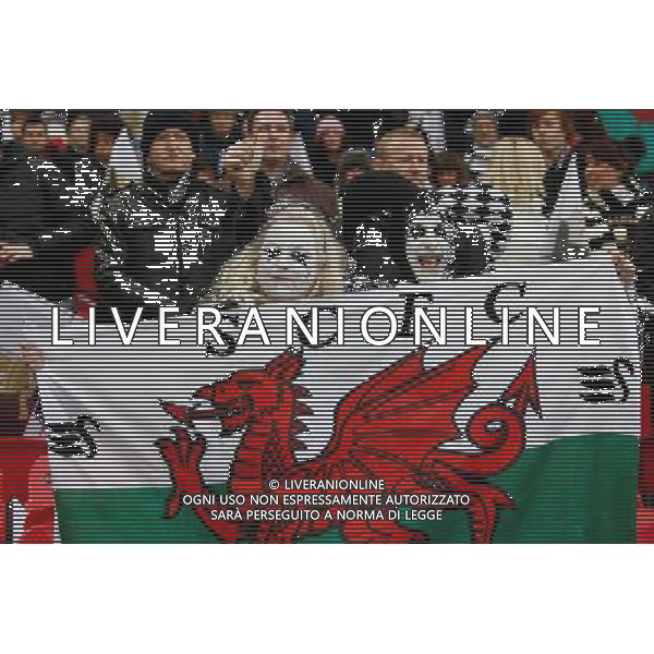 SWANSEA CITY FANS BRADFORD CITY V SWANSEA CITY BRADFORD CITY V SWANSEA CITY CAPITAL ONE FOOTBALL LEAGUE CUP FINAL 2013 WEMBLEY STADIUM, LONDON, ENGLAND 24 February 2013 GAQ66060 CAPITAL ONE CUP FINAL 2013 WARNING! This Photograph May Only Be Used For Newspaper And/Or Magazine Editorial Purposes. May Not Be Used For Publications Involving 1 player, 1 Club Or 1 Competition Without Written Authorisation From Football DataCo Ltd. For Any Queries, Please Contact Football DataCo Ltd on +44 (0) 207 864 9121