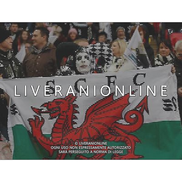 SWANSEA CITY FAN BRADFORD CITY V SWANSEA CITY BRADFORD CITY V SWANSEA CITY CAPITAL ONE FOOTBALL LEAGUE CUP FINAL 2013 WEMBLEY STADIUM, LONDON, ENGLAND 24 February 2013 GAQ66057 CAPITAL ONE CUP FINAL 2013 WARNING! This Photograph May Only Be Used For Newspaper And/Or Magazine Editorial Purposes. May Not Be Used For Publications Involving 1 player, 1 Club Or 1 Competition Without Written Authorisation From Football DataCo Ltd. For Any Queries, Please Contact Football DataCo Ltd on +44 (0) 207 864 9121