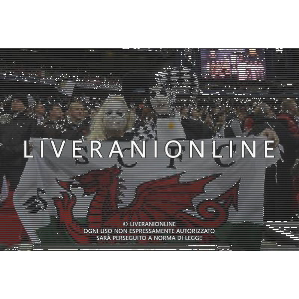 Wembley Stadium Bradford city v Swansea City (0-5) Capital One Cup Final 24/02/2013 Swansea fans Photo: Roger Parker Fotosports International ©PHOTOSHOT/AGENZIA ALDO LIVERANI SAS - ITALY ONLY - EDITORIAL USE ONLY