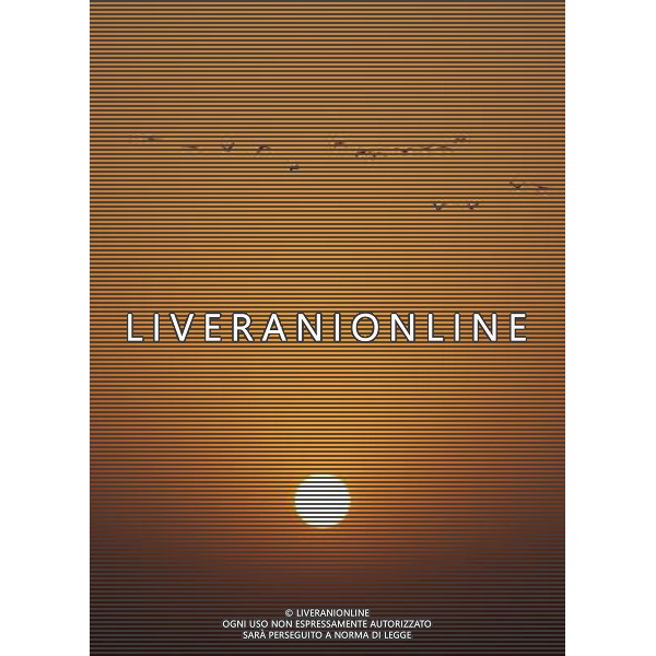 (130304) -- DUCHANG, March 4, 2013 () -- Migrant birds fly over the Poyang Lake in east China\'s Jiangxi Province, March 4, 2013. With temperatures rising, migrant birds have begun leaving Poyang Lake where they spent the winter. (/Fu Jianbin) (zc) ©photoshot/AGENZIA ALDO LIVERANI SAS - ITALY ONLY - Gli uccelli migratori volano sul lago Poyang nella zona est della Cina nella provincia del Jiangxi, il 4 marzo 2013.