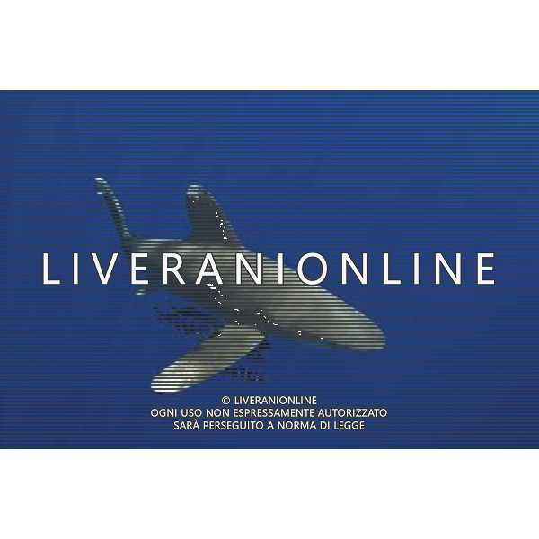 Three types of critically endangered but commercially valuable shark have been given added protection at the Cites meeting in Bangkok. The oceanic whitetip, three varieties of hammerheads and the porbeagle are all said to be seriously threatened by overfishing. OCEANIC WHITETIP SHARK AG ALDO LIVERANI S A S ONLY ITALY