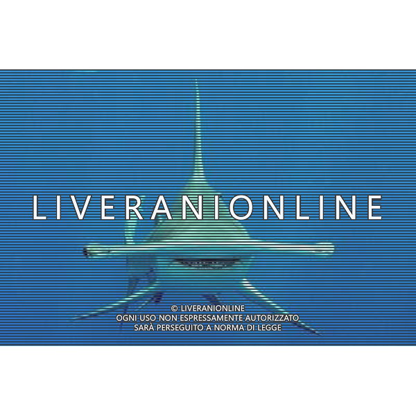 Three types of critically endangered but commercially valuable shark have been given added protection at the Cites meeting in Bangkok. The oceanic whitetip, three varieties of hammerheads and the porbeagle are all said to be seriously threatened by overfishing. Great Hammerhead shark AG ALDO LIVERANI S A S ONLY ITALY