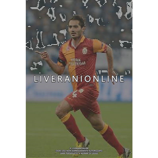 (130313) -- GELSENKIRCHEN, March 13, 2013 () -- Hamit Altintop of Galatasaray celebrates during the UEFA Champions League eighth-final match against FC Schalke 04 at Veltins Arena in Gelsenkirchen, west Germany, March 12, 2013. Galatasaray won 3-2 and entered the quarterfinal. (/Ma Ning) (ql) cphotoshot/AGENZIA ALDO LIVERANI SAS - ITALY ONLY - EDITORIAL USE ONLY