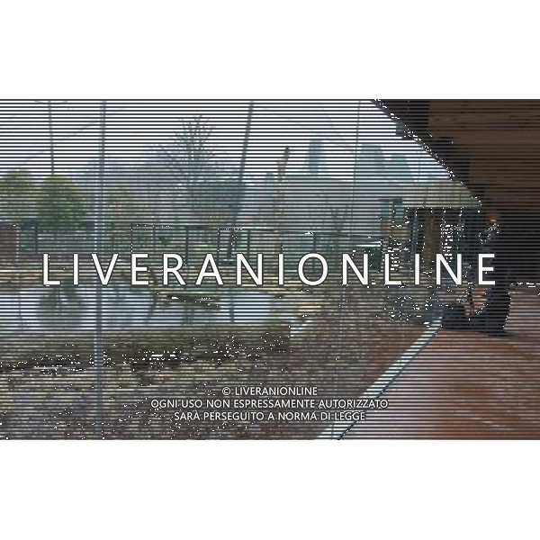 The official opening of ZSL London Zoo\'s new £3.6m Sumatran tiger enclosure, Tiger Territory, home to Sumatran tigers Jae Jae and Melati. at ZSL London Zoo, London. 20th March 2013. ©PHOTOSHOT/AGENZIA ALDO LIVERANI SAS - ITALY ONLY - Una delle due tigri di Sumatra in via di estinzione ospitate nello Zoo di Londra