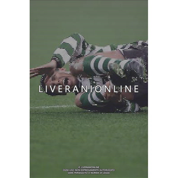 MILANO, 22-11-01 DFP/ MARCO LUSSOSO MILAN - SPORTING LISBONA (COPPA UEFA) NELLA FOTO: JARDEL AG ALDO LIVERANI S A S