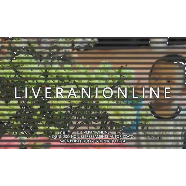 (130319) -- FUZHOU, March 19, 2013 () -- A child views azalea flowers at the first Fuzhou Azalea Cultural Festival in Fuzhou, capital of southeast China\'s Fujian Province, March 19, 2013. The festival kicked off on Tuesday, displaying over 100 species of azalea flowers. (/Lin Shanchuan) (zc) ©photoshot/AGENZIA ALDO LIVERANI SAS - ITALY ONLY - Oltre 100 specie di piante da fiori di Azalea in mostra al primo Festival culturale di azalee a Fuzhou, capitale della Cina sud-orientale della provincia del Fujian, 19 Marzo 2013.