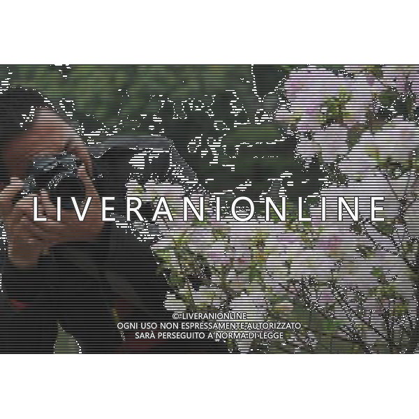 (130319) -- FUZHOU, March 19, 2013 () -- A visitor takes photos of azalea flowers at the first Fuzhou Azalea Cultural Festival in Fuzhou, capital of southeast China\'s Fujian Province, March 19, 2013. The festival kicked off on Tuesday, displaying over 100 species of azalea flowers. (/Lin Shanchuan) (zc) ©photoshot/AGENZIA ALDO LIVERANI SAS - ITALY ONLY - Oltre 100 specie di piante da fiori di Azalea in mostra al primo Festival culturale di azalee a Fuzhou, capitale della Cina sud-orientale della provincia del Fujian, 19 Marzo 2013.