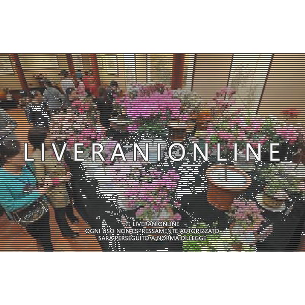 (130319) -- FUZHOU, March 19, 2013 () -- Visitors view azalea flowers at the first Fuzhou Azalea Cultural Festival in Fuzhou, capital of southeast China\'s Fujian Province, March 19, 2013. The festival kicked off on Tuesday, displaying over 100 species of azalea flowers. (/Lin Shanchuan) (zc) ©photoshot/AGENZIA ALDO LIVERANI SAS - ITALY ONLY - Oltre 100 specie di piante da fiori di Azalea in mostra al primo Festival culturale di azalee a Fuzhou, capitale della Cina sud-orientale della provincia del Fujian, 19 Marzo 2013.