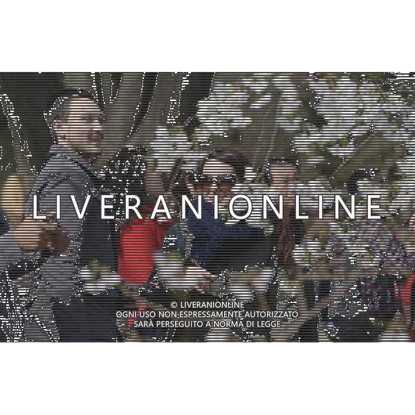 (130322) -- BEIJING, March 22, 2013 () -- Visitors view cherry blossoms at the Yuyuantan Park in Beijing, capital of China, March 22, 2013. The 25th Yuyuantan Cherry Blossom Festival will kick off on Saturday. (/Li Jundong) (zc) ©Photoshot/AGENZIA ALDO LIVERANI SAS-ITALY ONLY - EDITORIAL USE ONLY