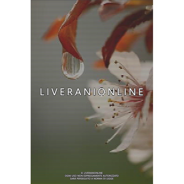 (130322) -- NANTONG, March 22, 2013 () -- Photo taken on March 22, 2013 shows a drop of water hanging on a leaf of cherry flower in Nantong, east China\'s Jiangsu Province. (/Cui Genyuan) (lfj) ©Photoshot/AGENZIA ALDO LIVERANI SAS-ITALY ONLY - EDITORIAL USE ONLY