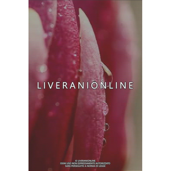 (130322) -- NANTONG, March 22, 2013 () -- Photo taken on March 22, 2013 shows drops of water hanging on a magnolia flower in Nantong, east China\'s Jiangsu Province. (/Cui Genyuan) (lfj) ©Photoshot/AGENZIA ALDO LIVERANI SAS-ITALY ONLY - EDITORIAL USE ONLY