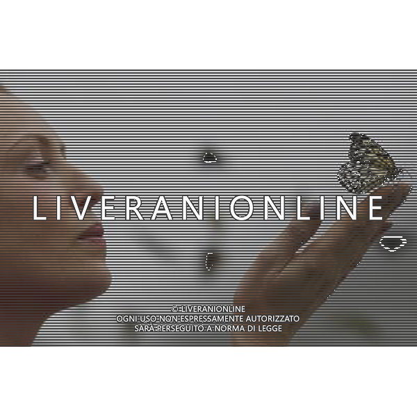 A woman holds a butterfly in the \'Sensational Butterflies\' exhibition at the Natural History Museum on 25 March, 2013 in London, Britain. The live, tropical butterfly house will be stationed on the Natural History Museum\'s east lawn from March 29, 2013 until September 15, 2013. ©Photoshot/AGENZIA ALDO LIVERANI SAS-ITALY ONLY - EDITORIAL USE ONLY