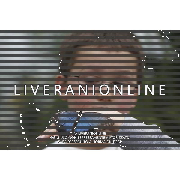 A butterfly lands on a boy hand in the \'Sensational Butterflies\' exhibition at the Natural History Museum on 25 March, 2013 in London, Britain. The live, tropical butterfly house will be stationed on the Natural History Museum\'s east lawn from March 29, 2013 until September 15, 2013. ©Photoshot/AGENZIA ALDO LIVERANI SAS-ITALY ONLY - EDITORIAL USE ONLY