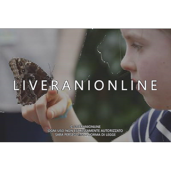 A butterfly lands on a girl hand in the \'Sensational Butterflies\' exhibition at the Natural History Museum on 25 March, 2013 in London, Britain. The live, tropical butterfly house will be stationed on the Natural History Museum\'s east lawn from March 29, 2013 until September 15, 2013. ©Photoshot/AGENZIA ALDO LIVERANI SAS-ITALY ONLY - EDITORIAL USE ONLY