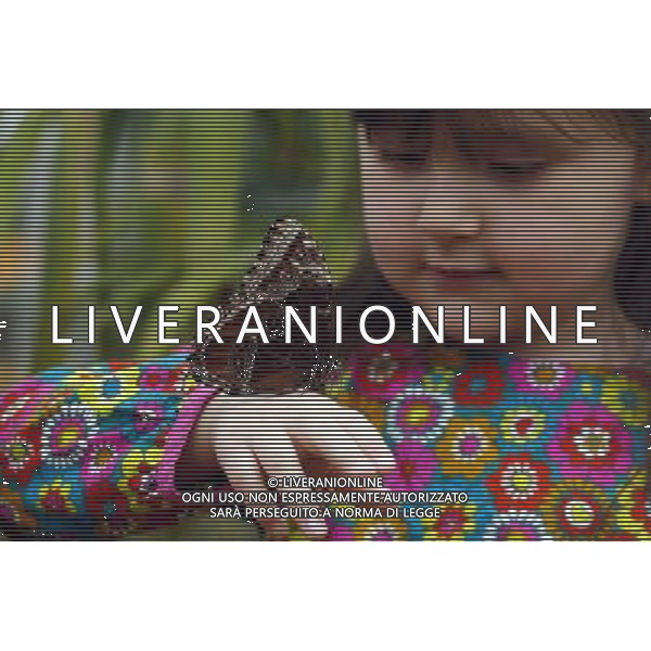 A butterfly lands on a girl hand in the \'Sensational Butterflies\' exhibition at the Natural History Museum on 25 March, 2013 in London, Britain. The live, tropical butterfly house will be stationed on the Natural History Museum\'s east lawn from March 29, 2013 until September 15, 2013. ©Photoshot/AGENZIA ALDO LIVERANI SAS-ITALY ONLY - EDITORIAL USE ONLY