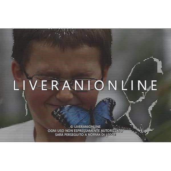 A butterfly lands on a boy face in the \'Sensational Butterflies\' exhibition at the Natural History Museum on 25 March, 2013 in London, Britain. The live, tropical butterfly house will be stationed on the Natural History Museum\'s east lawn from March 29, 2013 until September 15, 2013. ©Photoshot/AGENZIA ALDO LIVERANI SAS-ITALY ONLY - EDITORIAL USE ONLY